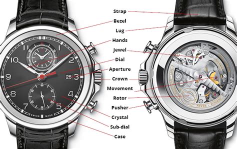 watch anatomy diagram